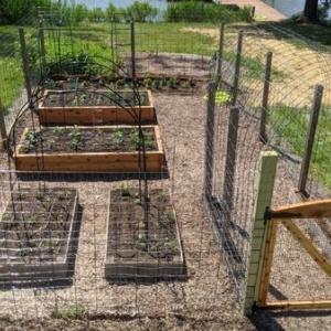 Photo of Gardenology