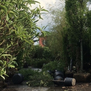 Photo of Merrifield Garden Center