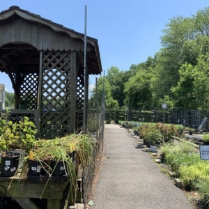 Photo of Merrifield Garden Center