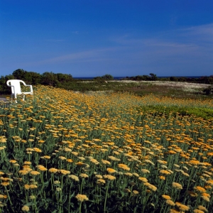 Photo of OEHME, van SWEDEN | OvS