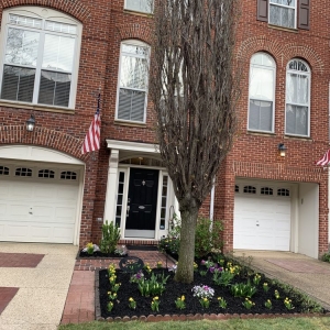 Photo of Fernando Landscaping