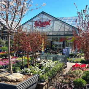Photo of Patuxent Nursery