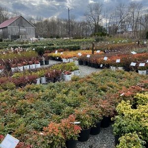Photo of Patuxent Nursery