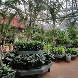 Photo of Patuxent Nursery