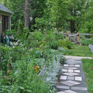 Photo of Gardening and Gentle Redesign