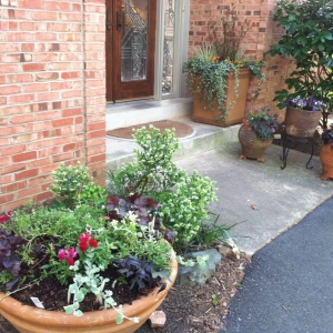 Photo of Gardening and Gentle Redesign