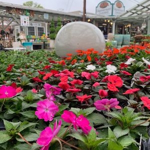 Photo of Greenstreet Gardens