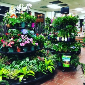 Photo of Greenstreet Gardens