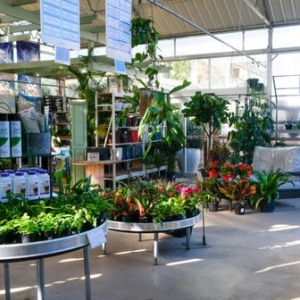 Photo of Good Earth Garden Market