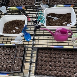 Photo of Good Earth Garden Market