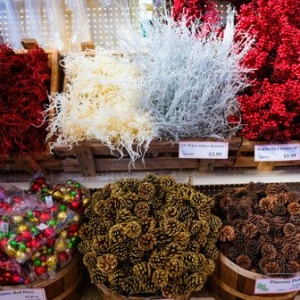 Photo of Good Earth Garden Market