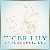 Photo of Tiger Lily Landscapes