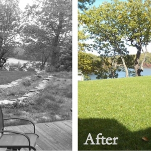 Photo of The Landscape Design Center