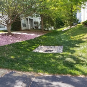 Photo of The Landscape Design Center