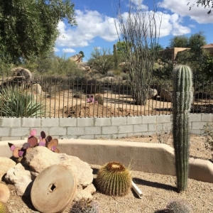 Photo of Creative Design's Landscaping