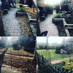 Photo of Avanza Landscaping & Maintenance