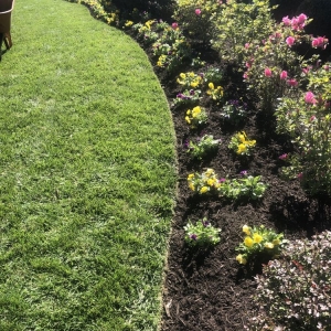 Photo of Avanza Landscaping & Maintenance