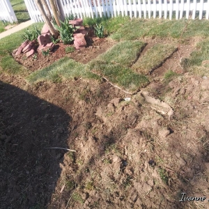 Photo of Orbin Landscaping & Tree Service