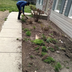 Photo of Orbin Landscaping & Tree Service
