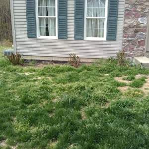 Photo of Orbin Landscaping & Tree Service