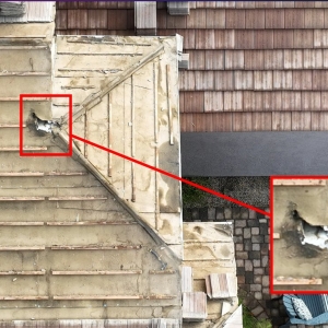 Photo of Arizona Roof Rescue