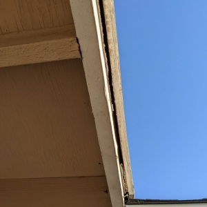 Photo of Mission Restoration