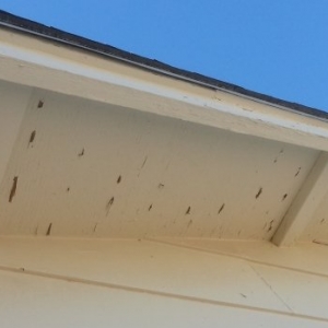 Photo of Sun City Roofing