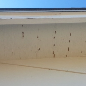 Photo of Sun City Roofing