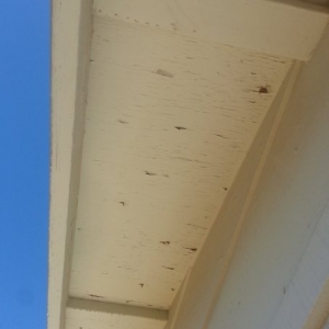 Photo of Sun City Roofing