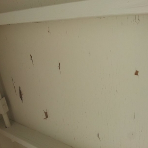 Photo of Sun City Roofing