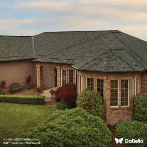Photo of DaBella - Phoenix