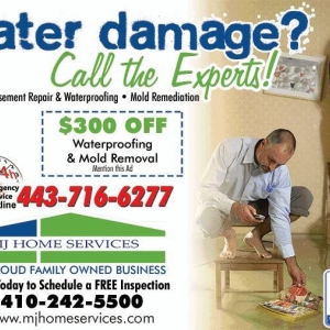 Photo of MJ Home Services