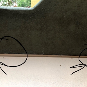 Photo of Revamp Roofing