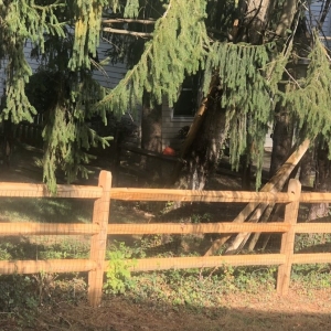 Photo of Potomac Fences