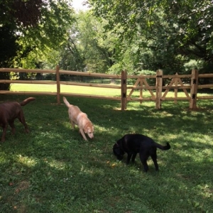 Photo of Potomac Fences