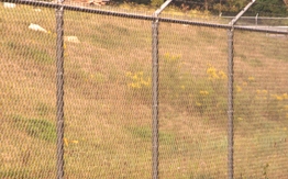 Photo of Metro fence