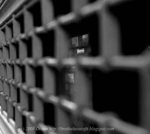 Photo of Captain Roll Up Gates