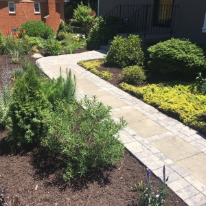 Photo of Ayala Landscaping