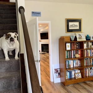 Photo of Columbia Floors