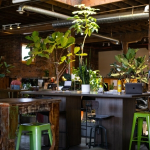 Photo of Green Spaces