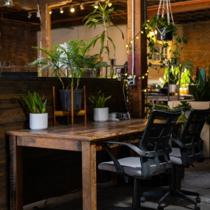 Photo of Green Spaces
