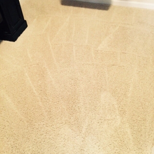 Photo of Jack's Window & Carpet Cleaning