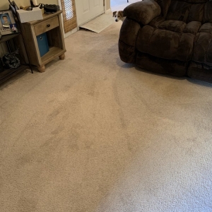 Photo of Altitude Carpet Care