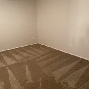 Photo of Altitude Carpet Care