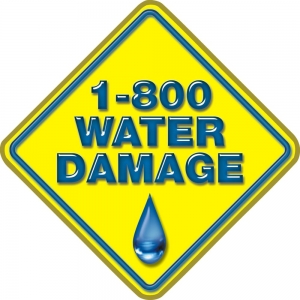 Photo of 1-800 WATER DAMAGE of Denver