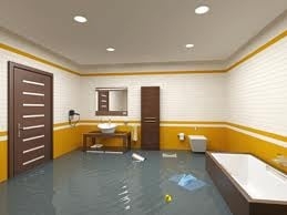 Photo of 1-800 WATER DAMAGE of Denver