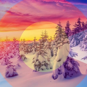 Photo of Right Choice Web Design