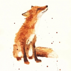 Photo of Fox Property Management