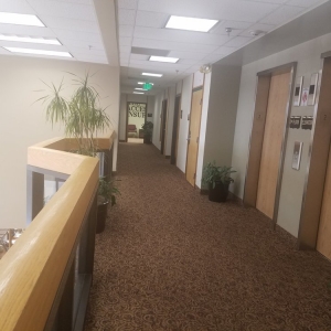 Photo of Williams Intellectual Property