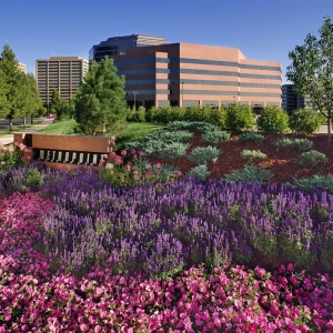 Photo of Intelligent Office Denver - Tech Center